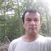  ,   , 41 ,   