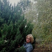  ,   , 63 ,     , c 