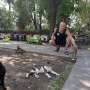 ���������� �����-���������, ���� ������� �����, 31 ���, ������������ ��� ������, ����� � ���������, c�������� ���������, ���������