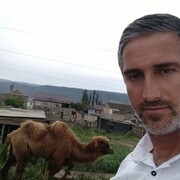  ,   Miagi, 41 ,   ,   