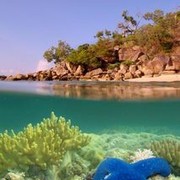 ���������� ������-�������, ������� ����, 48