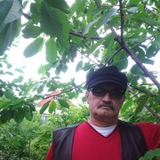  ,   , 66 ,     , c 