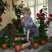 ,   , 55 ,  