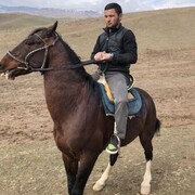 ���������� ������, ���� ����� ����, 25 ���, ������������ ��� c�������� ���������