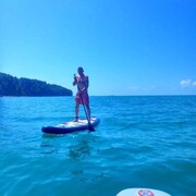 ������,����� ����