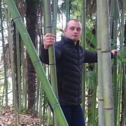 ���������� ���������, ���� ������� �����, 28 ���, ������������ ��� ������, ����� � ���������, c�������� ���������, ���������