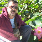 ���������� ������, ���� ������� ���������, 66 ���, ������������ ��� ������, ����� � ���������, c�������� ���������