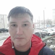 ���������� ����, ���� ������� ���������, 43 ����, ������������ ��� ����� � ���������, c�������� ���������, ���������