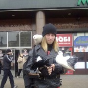 ���������� ���������, ���� ������� ����������, 36 ���, ������������ ��� ������, ����� � ���������, c�������� ���������