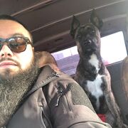 ���������� ������, ���� ������� ��������, 37 ���, ������������ ��� ������, ����� � ���������, ���������