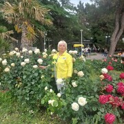  ,   , 57 ,     , c 