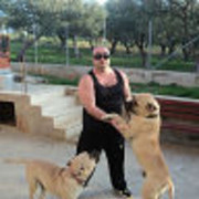  Alexandroupolis,   Ioannis, 56 ,   