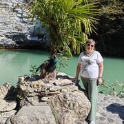  -,   , 58 ,   ,   , c 