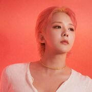 ���������� ���������, ������� ��������, 30