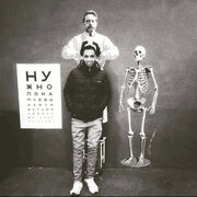 ���������� ������, ���� ������� Lotfy, 31 ���, ������������ ��� ������, ����� � ���������, ���������