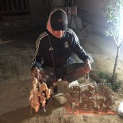  ,   , 22 ,   ,   