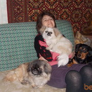 ���������� ������, ���� ������� ����, 54 ����, ������������ ��� ������, ����� � ���������, c�������� ���������