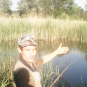 ���������� ���������, ���� ������� ��������, 43 ����, ������������ ��� ������, ����� � ���������, c�������� ���������