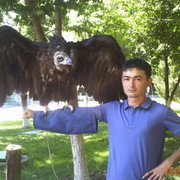  ,   , 37 ,   