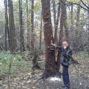 ���������� ������, ���� ������� ���, 60 ���, ������������ ��� ���������