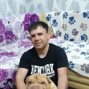 ���������� ���������, ���� ������� ����, 36 ���, ������������ ��� ������, ����� � ���������