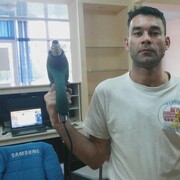  ,   , 41 ,   ,   , c , 