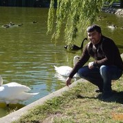  ,   , 41 ,   