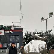 ���������� ������, ���� ������� Hamid, 35 ���, ������������ ��� ������, ����� � ���������, ���������