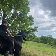 ���������� ����, ������ ������, 22