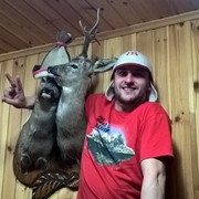  ,   , 37 ,  