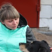 ���������� �������, ���� ������� ����, 33 ����, ������������ ��� ������, ����� � ���������, c�������� ���������