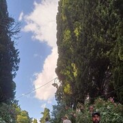 ���������� ����, ���� ������� ���, 40 ���, ������������ 