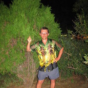 ���������� �������, ���� ������� Rom72, 53 ����, ������������ ��� ������, ����� � ���������, c�������� ���������