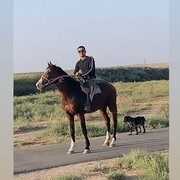  ,   Nurseiil, 24 ,   ,   