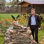   ,   , 43 ,   