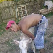  ,   Xasan, 36 ,   ,   , c 