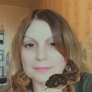 ���������� �����-���������, ���� ������� ����, 36 ���, ������������ ��� ������, ����� � ���������