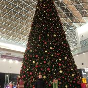 ���������� ������������, ���� ������� Eduard, 32 ����, ������������ ��� ������, ����� � ���������