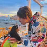 ���������� �����������, ������� �����, 37