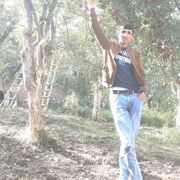 ���������� �����-���������, ���� ������� ���, 32 ����, ������������ ��� ������, ����� � ���������