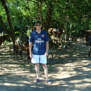 ���������� ������ �����, ���� ������� �������, 51 ���, ������������ ��� ������, ����� � ���������, c�������� ���������