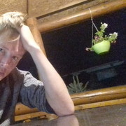  ,   , 26 ,   