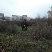  ,   , 50 ,     , c 
