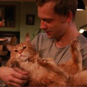 ���������� �������, ���� ������� Sandro, 36 ���, ������������ ��� ������, ����� � ���������