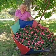 ���������� �������, ���� ������� ������, 47 ���, ������������ ��� ������, ����� � ���������