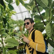 ���������� ������� ��������, ���� ����� ���������, 24 ����, ������������ ��� ������, ����� � ���������, c�������� ���������