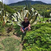 ���������� ������, ���� ������� �����, 36 ���, ������������ ��� ������, ���������