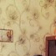  ,   Elena, 32 ,  