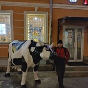  ,   , 43 ,     , c 