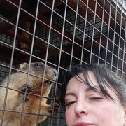  ,   , 49 ,   ,   